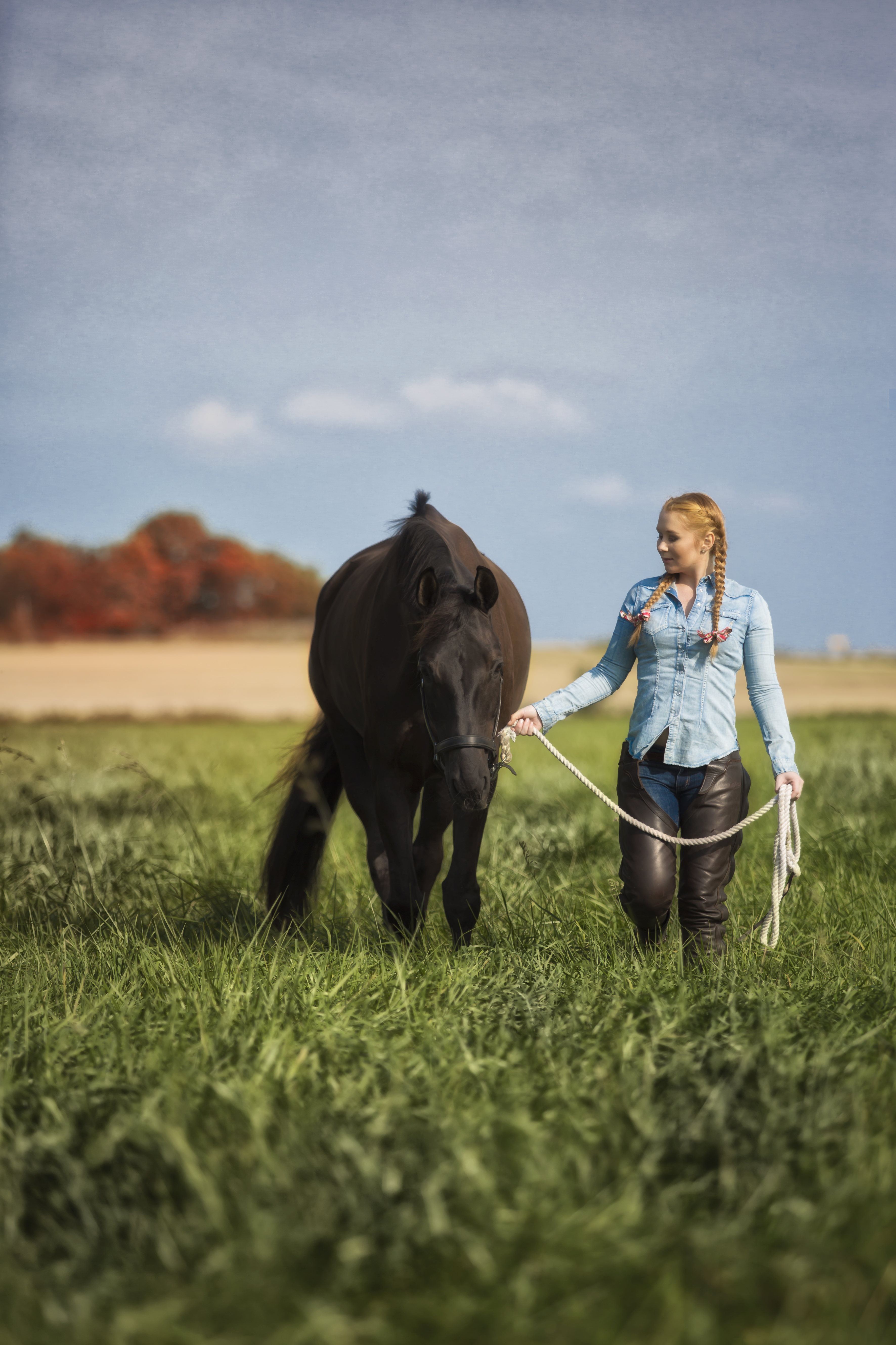 Hästporträtt fotograf