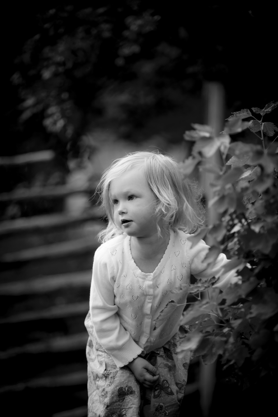 fotograf barn halmstad
